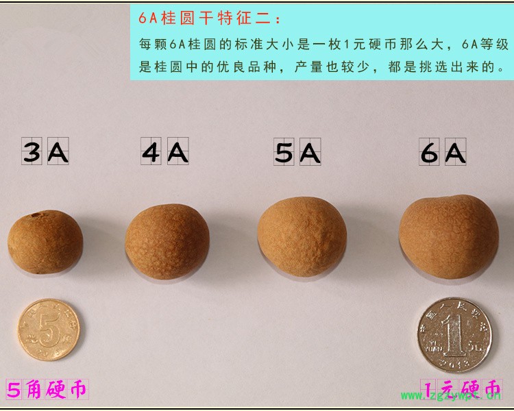 分级.jpg