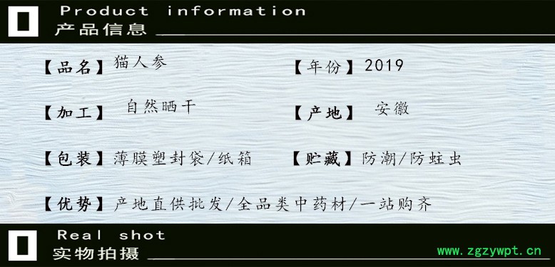 猫人参.jpg