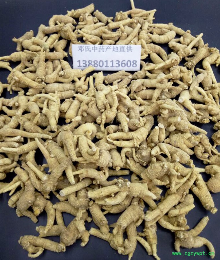 shandongxiyangshen3keyuancongal010.jpg