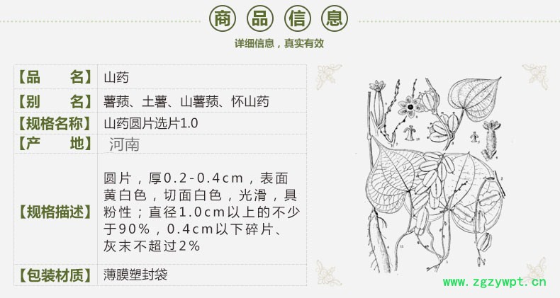 shanyao1.jpg