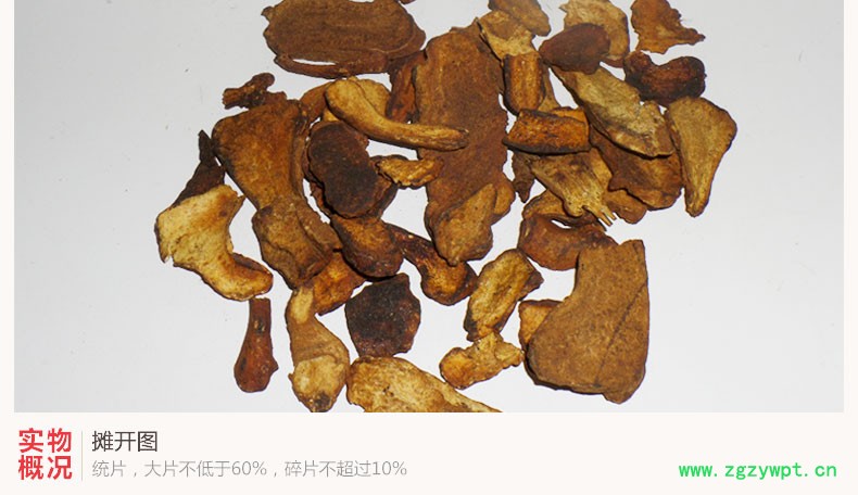 白术3.jpg
