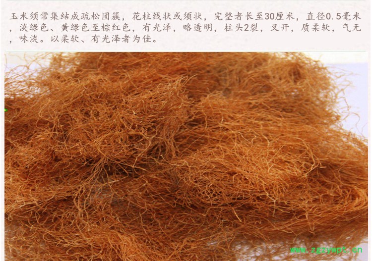 玉米须4.jpg