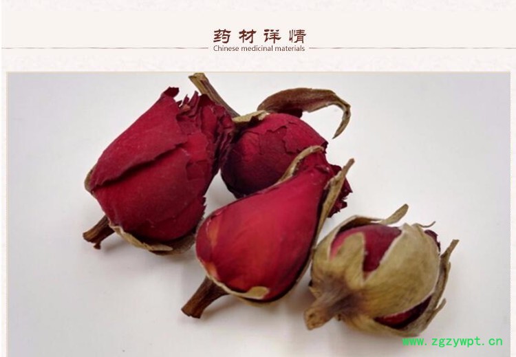月季花2.jpg
