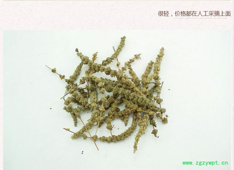 荆芥穗4.jpg