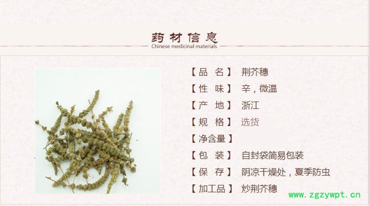 荆芥穗1_副本.jpg