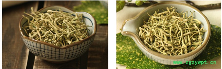 新金银花9.jpg