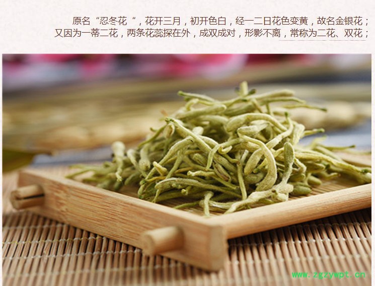 山东金银花3.jpg