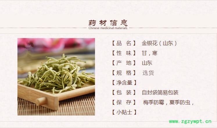 山东金银花1.jpg