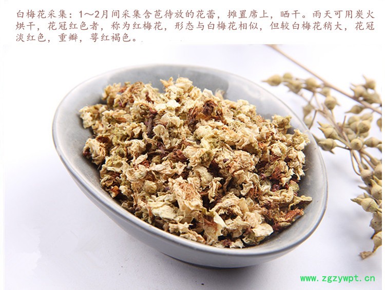 白梅花4.jpg