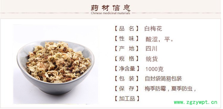 白梅花1.jpg