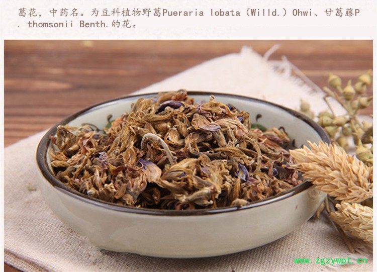 葛花3.jpg