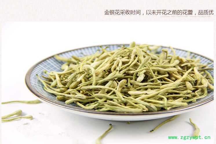 河北金银花4.jpg