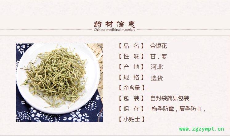 河北金银花1.jpg