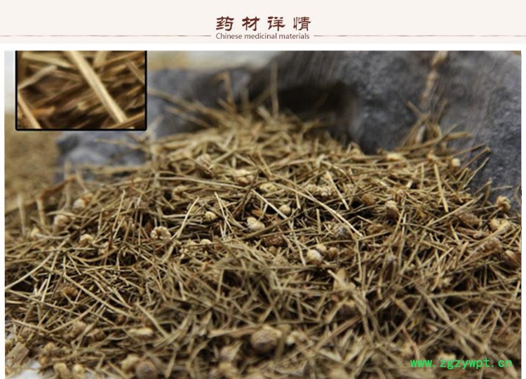 谷精草2.jpg