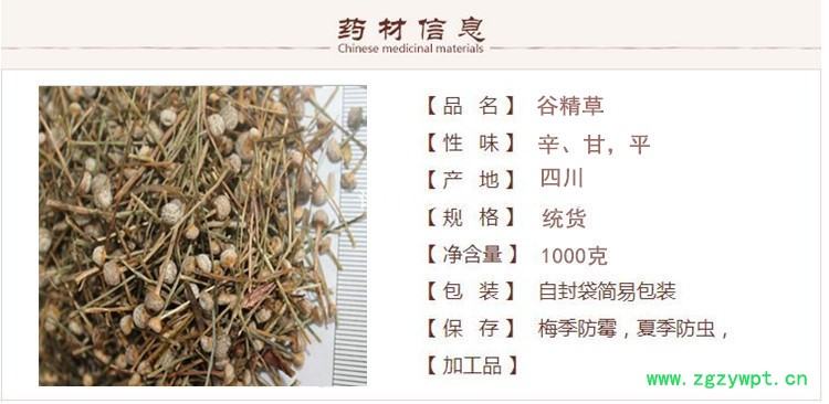 蟾谷精草1.jpg