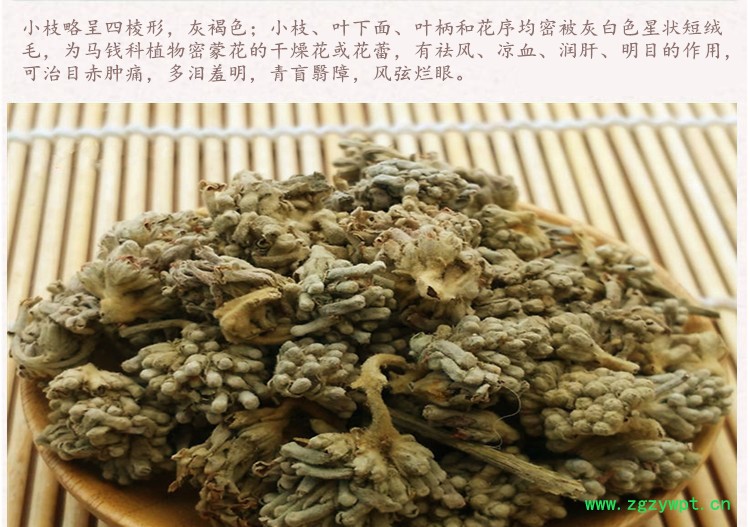 密蒙花4.jpg