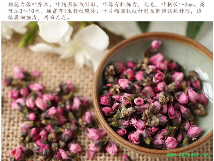 桃花4.jpg
