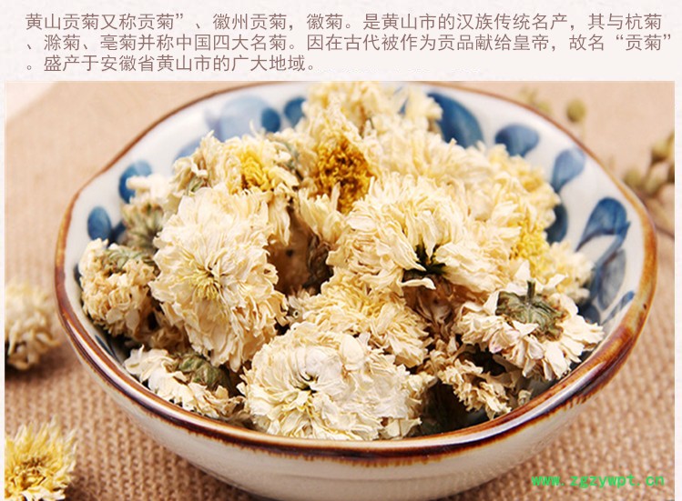 贡菊3.jpg