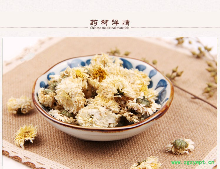 贡菊2.jpg