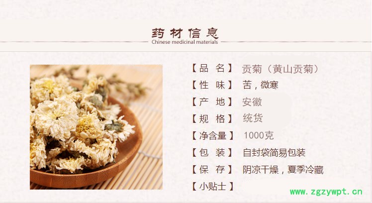 贡菊1.jpg