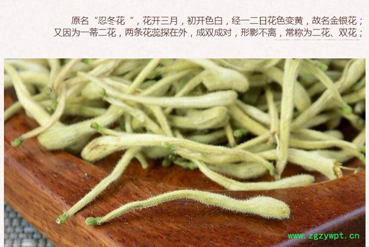 湖南金银花3.jpg