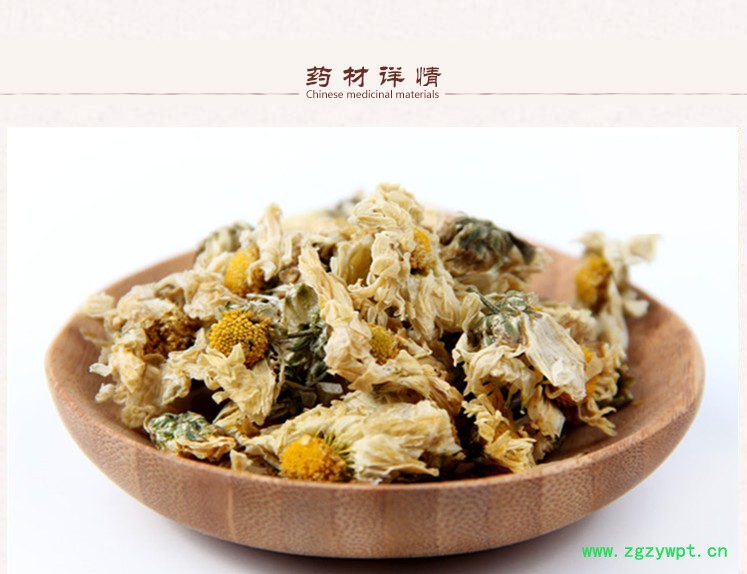 杭白菊2.jpg