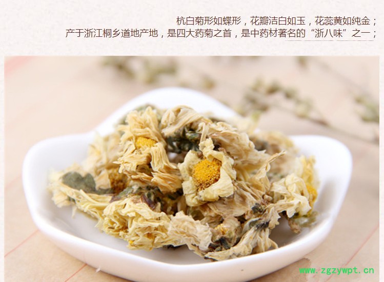 杭白菊3.jpg