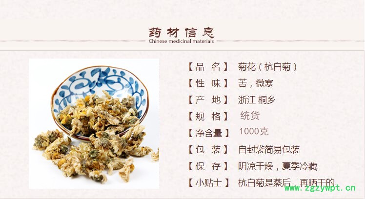 杭白菊1.jpg