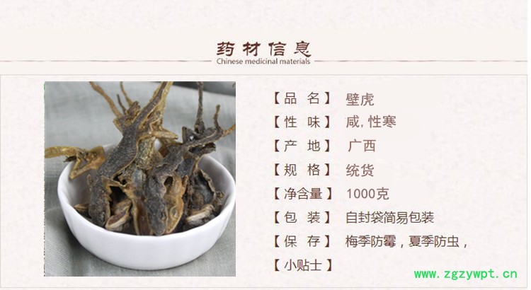 壁虎1.jpg