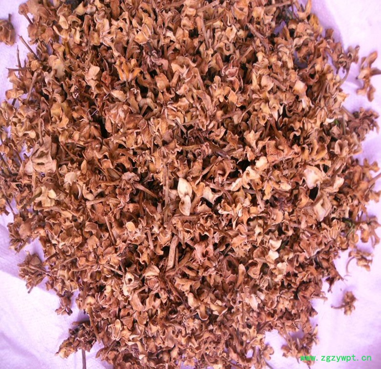 栀子花.jpg