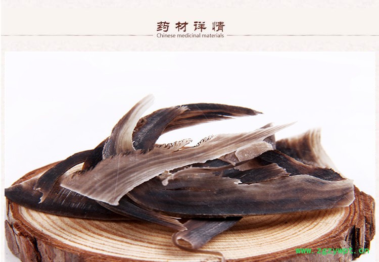 水牛角2.jpg