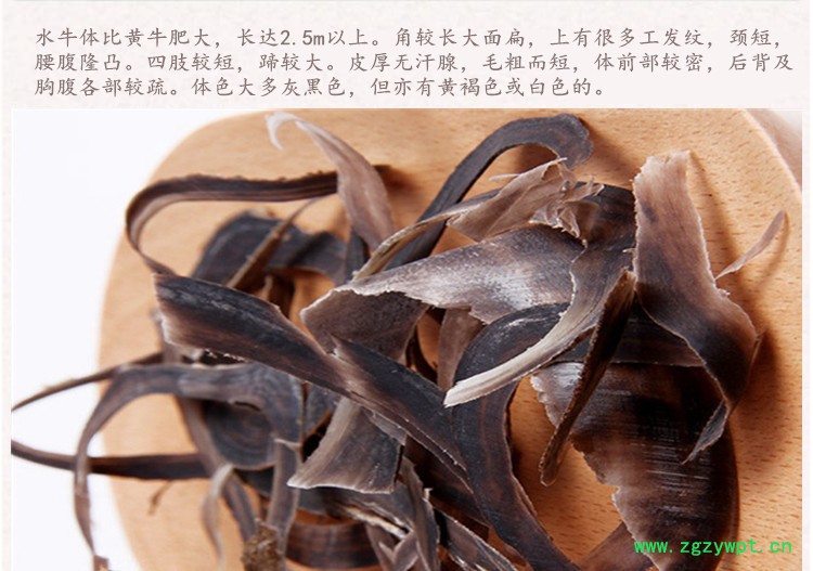 水牛角4.jpg
