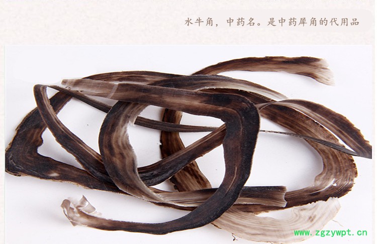 水牛角3.jpg