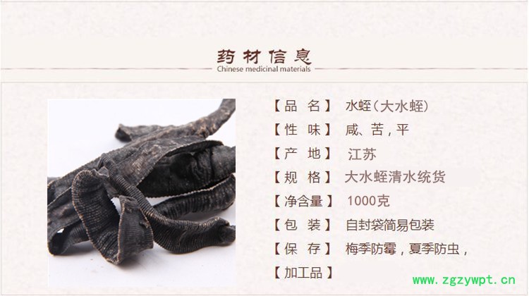 长条水蛭1.jpg