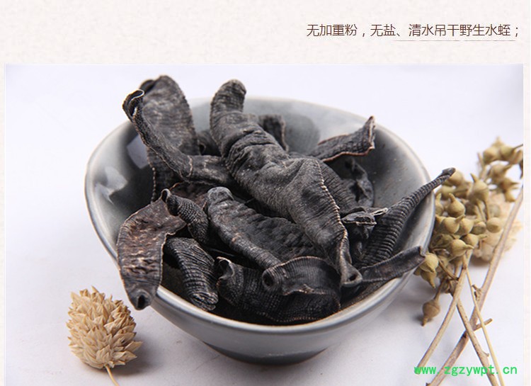 长条水蛭3.jpg