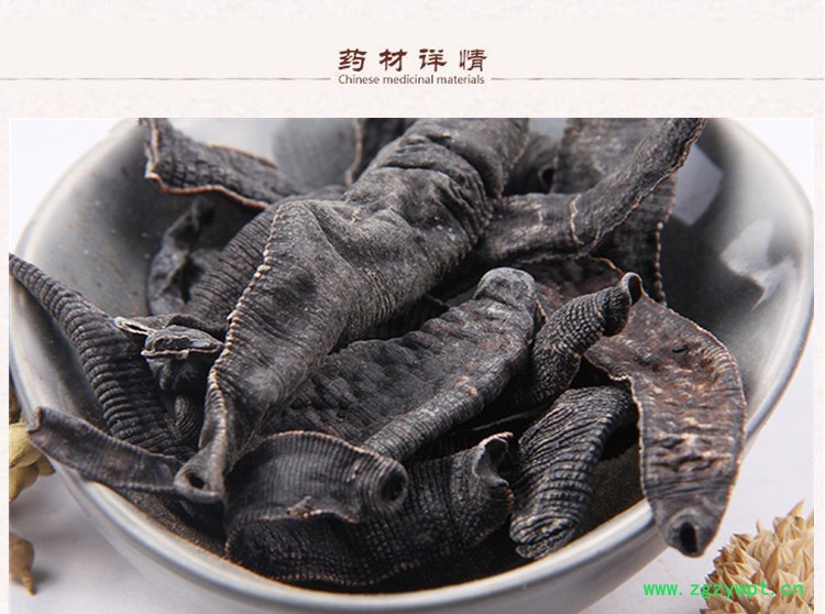 长条水蛭2.jpg