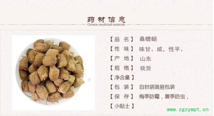 桑螵蛸1.jpg