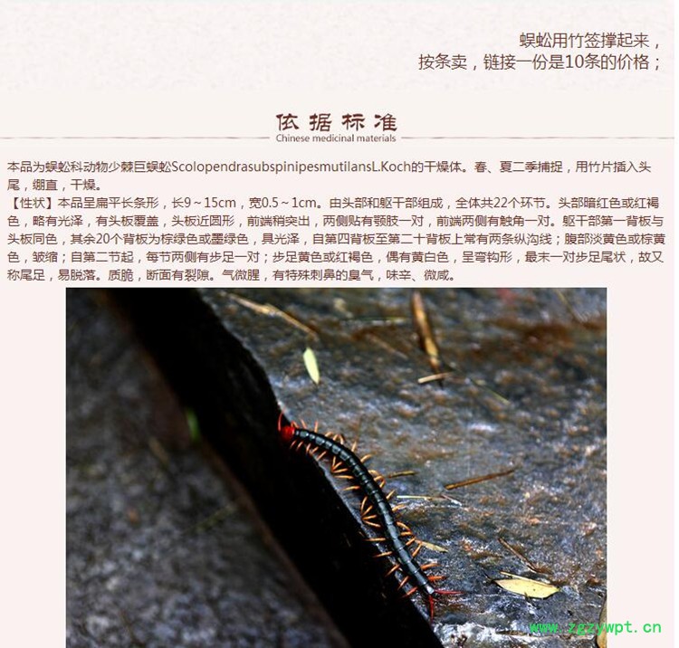 xin蜈蚣4.jpg