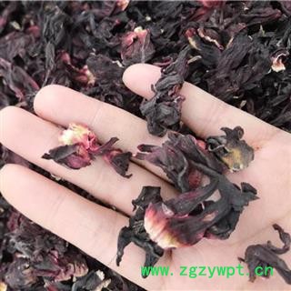 8.gif