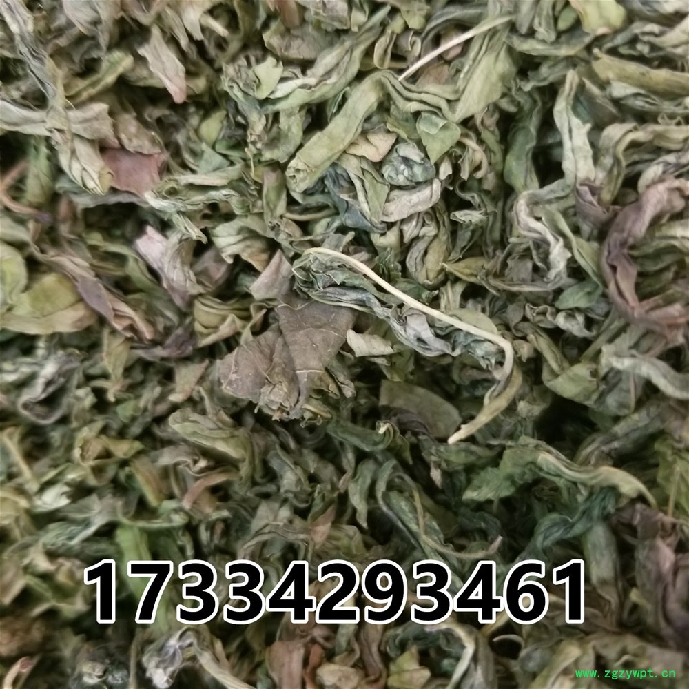 20190311_105733.jpg