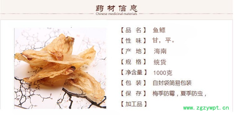 鱼鳔1.jpg