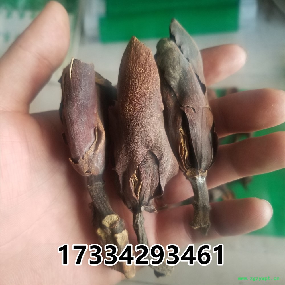 20190313_155355.jpg