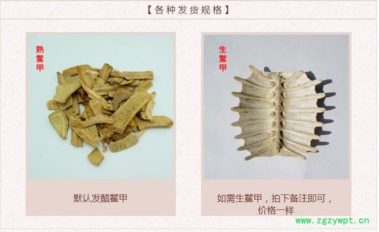 鳖甲2.jpg