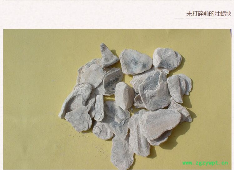 牡蛎4.jpg