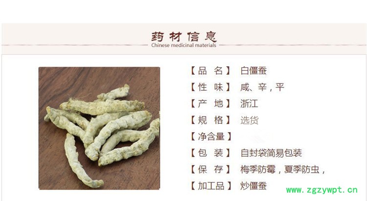 白僵蚕1_副本.jpg