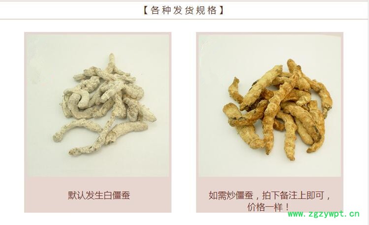 白僵蚕2.jpg