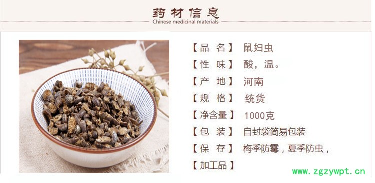 鼠妇虫1.jpg