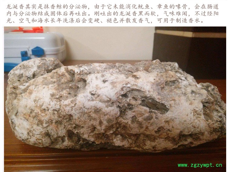 龙延香4.jpg