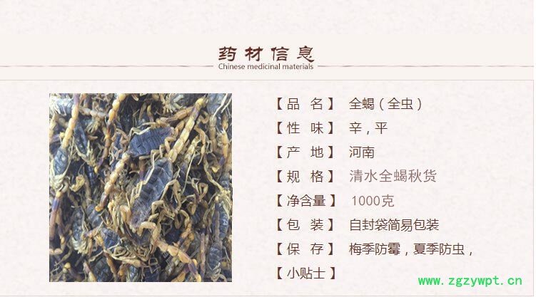 河南全蝎虫1.jpg