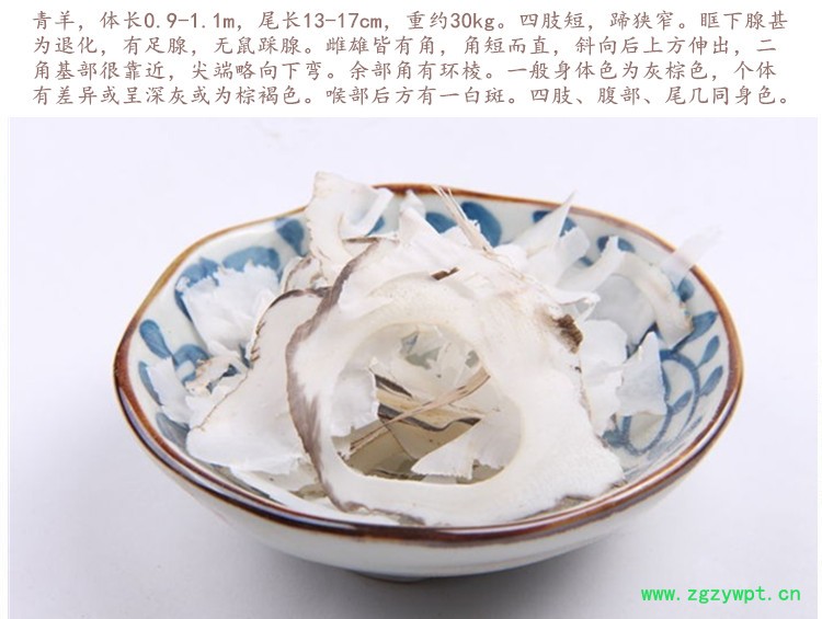山羊角丝2.jpg